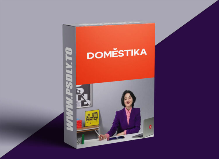 Domestika - Graphic Design: Techniques to Unlock your Creativity