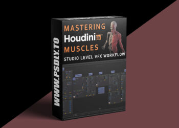 FlippedNormals - Mastering Houdini Muscles: A Studio Level VFX Workflow