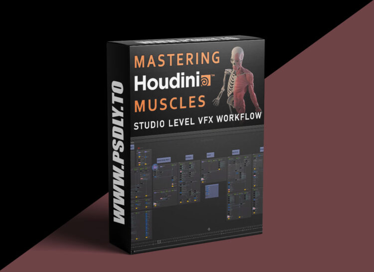 FlippedNormals - Mastering Houdini Muscles: A Studio Level VFX Workflow