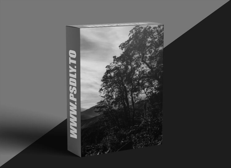 Hannah Pippins – Roadmap Exclusive
