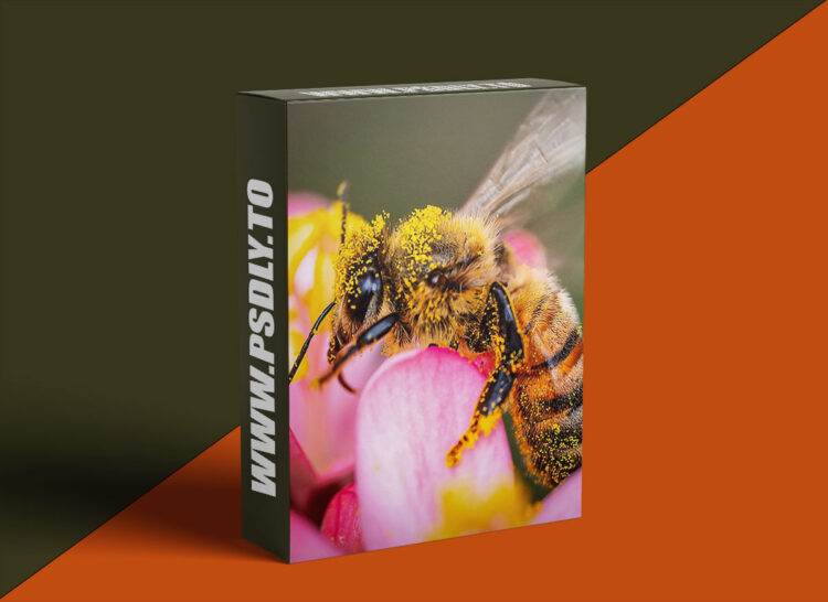 KelbyOne - Exploring Macro Photography from Beginning to End