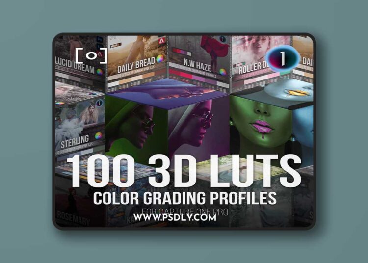 Pro Edu - Master Collection | 3D LUT Profiles for Capture 1