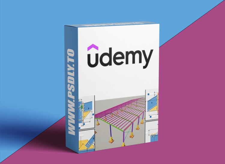 Udemy - Tekla Structure 2024 Course Pt1