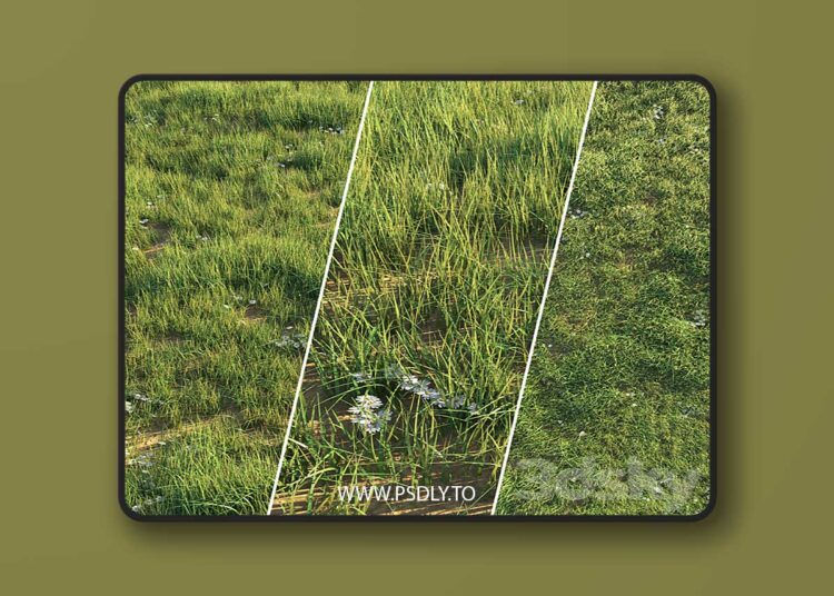 3dsky Pro - Uncut grass lawn 3D Model
