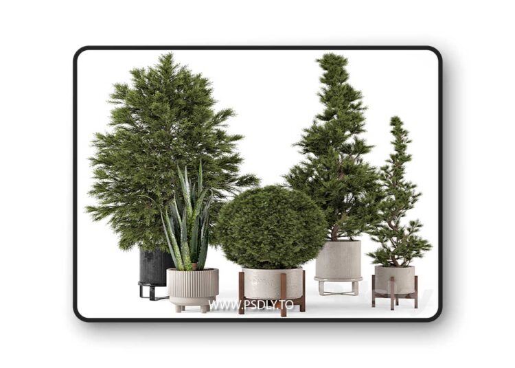 3dsky Pro - Indoor Plants in Ferm Living Bau Pot Large - Set 364