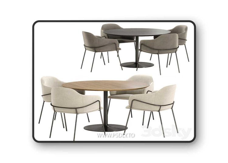 3dsky Pro - carver dining chair with Anderson table