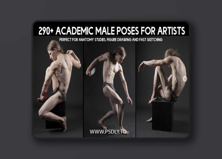 Artstation - 290+ Academic Male Pose Reference Pictures for Artists