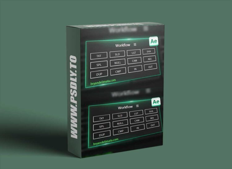 Bryan Delimata - Workflow (After Effects Plugin)
