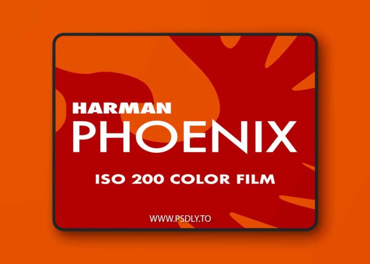 Film is Fun - Harman Phoenix 200 Film Emulation Lightroom Preset