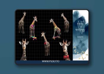 Finding North Education - Giraffe Digital Overlays