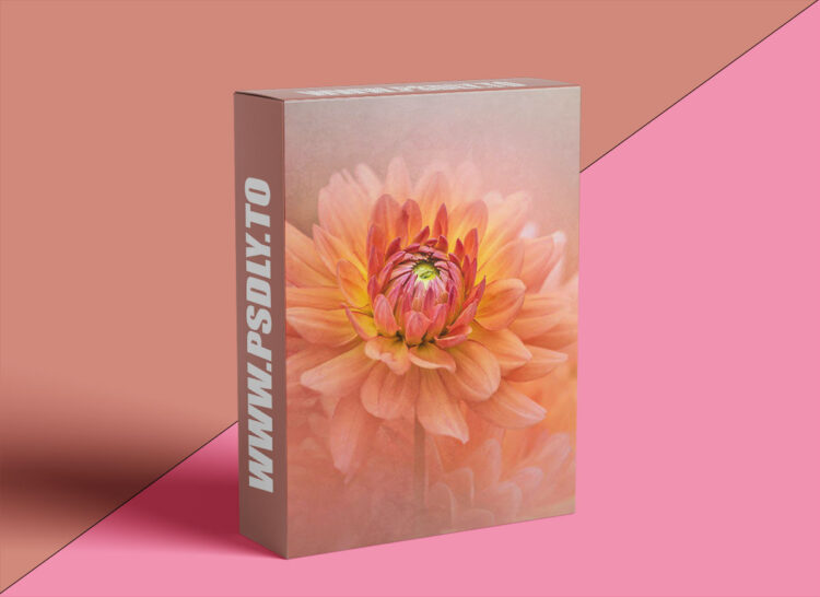 KelbyOne - Artistic Macro Floral Photography Techniques