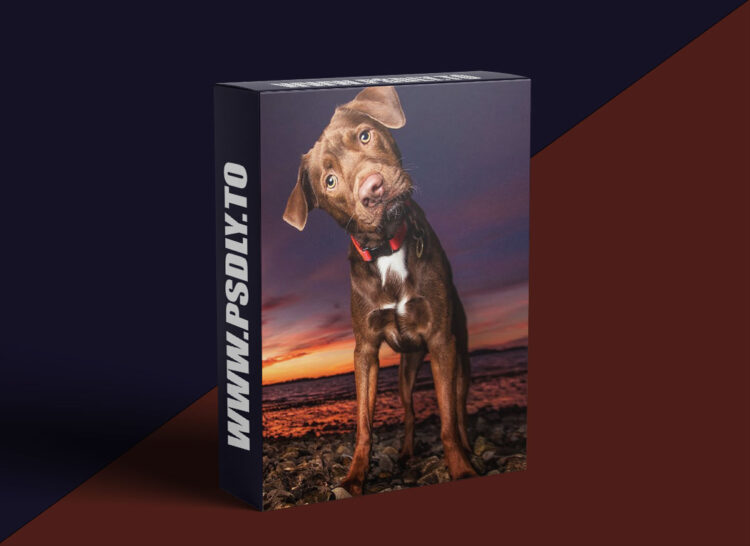 KelbyOne - Best Kept Secrets to Amazing Dog Photography