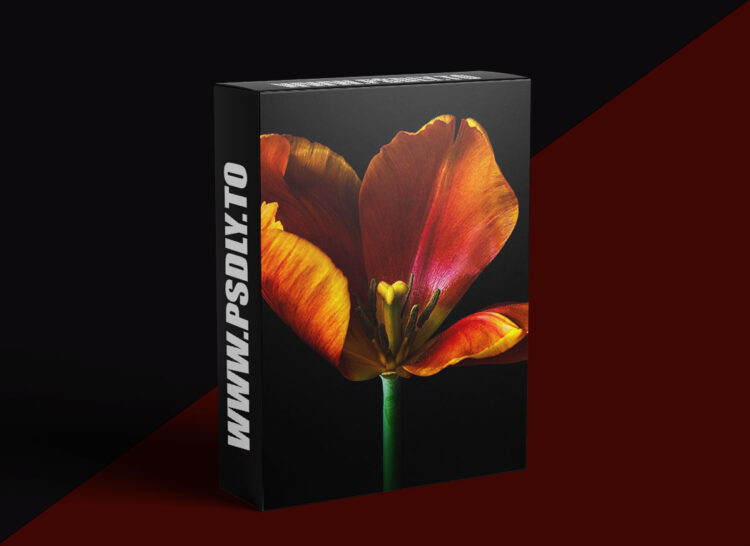 KelbyOne - Creating Breathtaking Floral Images
