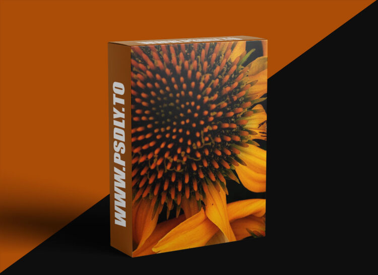 KelbyOne - Macro Photography: Up Close and Personal