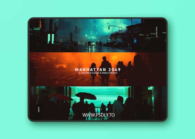 Manhattan 2049 Lightroom Presets