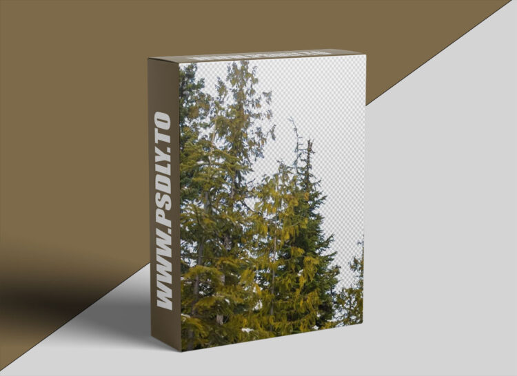 Mattepaint - Dynamic Masking