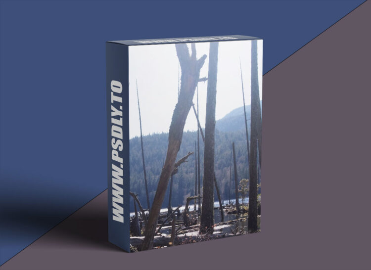 Mattepaint - Edges, Halo And Lightwrap
