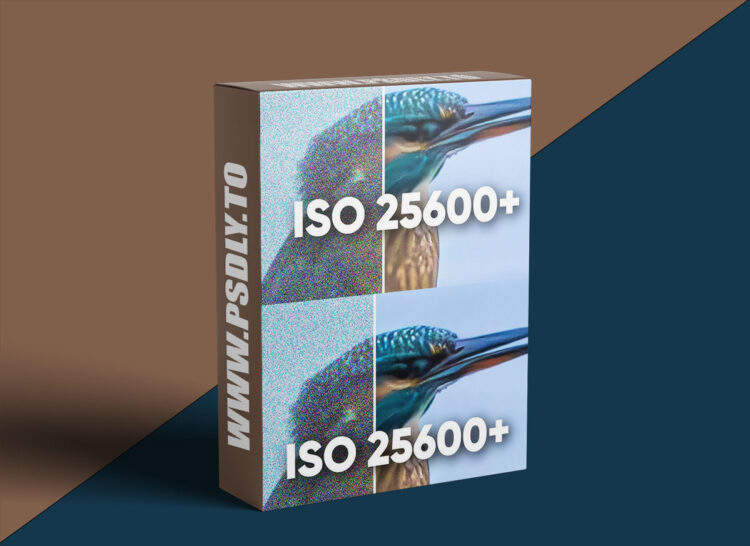PiximPerfect - BEST Noise Remover for High ISO Photos? Top 5 Compared: Topaz vs DxO & More! + PSD Sources