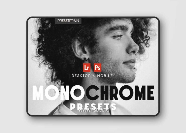 Presetain - Monochrome Lightroom Presets