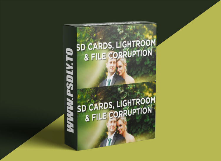 Sam Hurd - Lightroom's Built In File Corruption Check, and an app to pre-scan new memory cards for errors
