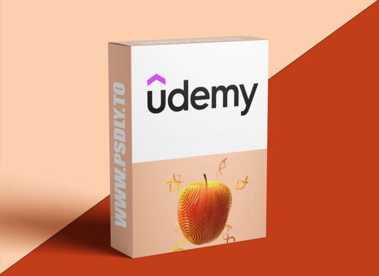 Udemy - How to Scatter Sine Waves onto any object in Houdini