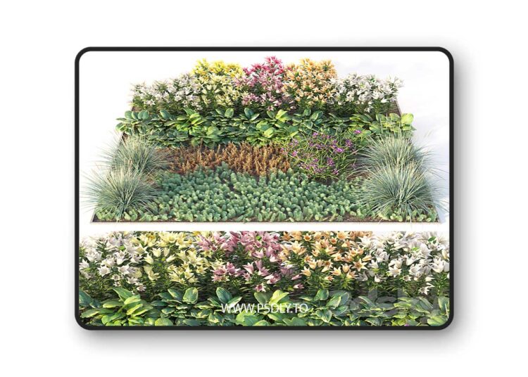 3dsky Pro - Flower garden 3 3d Model