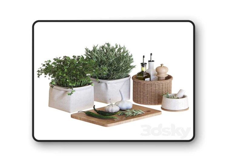 3dsky Pro - Kitchen Accessories-14 3D Model