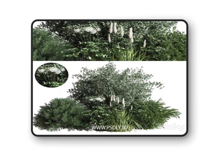 Bush04 3D Model