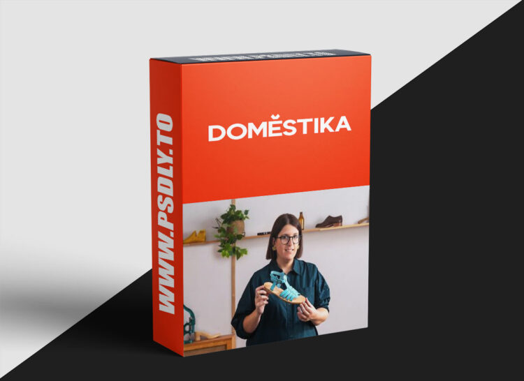 Domestika - Artisanal Leather Shoemaking for Beginners
