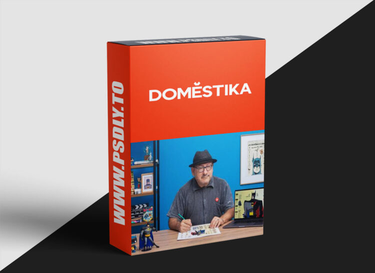 Domestika - Character-based Infographic Design