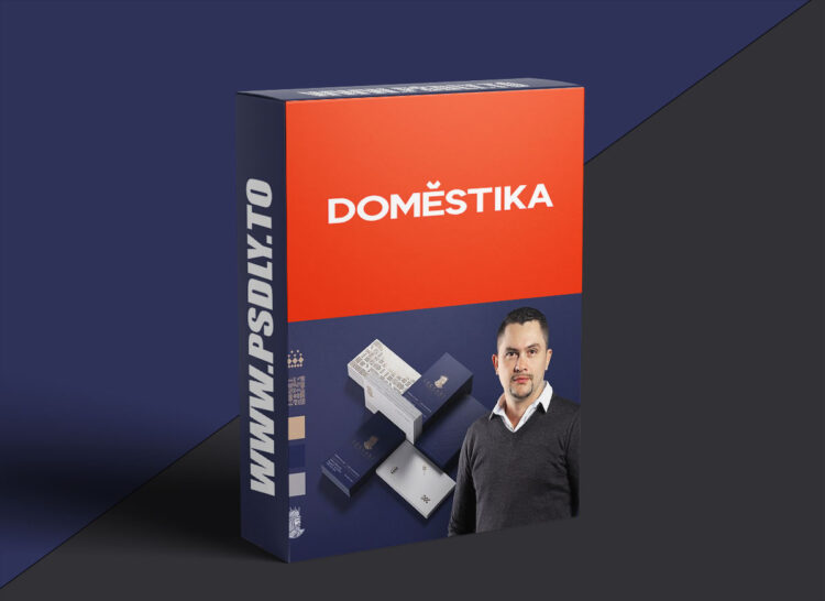 Domestika - Creation of a Corporate Identity Manual
