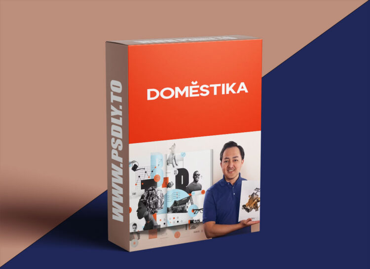 Domestika - Digital Collage for Editorials