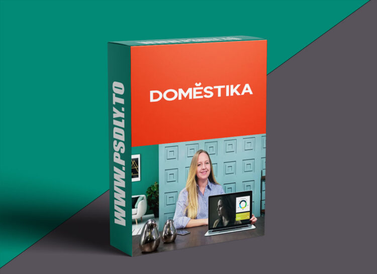 Domestika - Introduction to Social Media for Creative Entrepreneurs