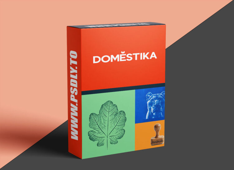 Domestika – Specialization in creative artisanal printing techniques