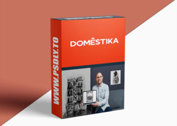 Domestika – Watercolor Techniques for Graphic Design