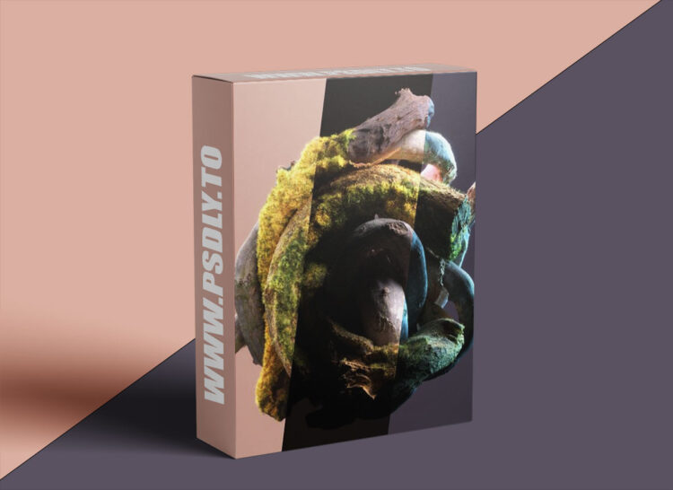 Entagma - Rendering 101