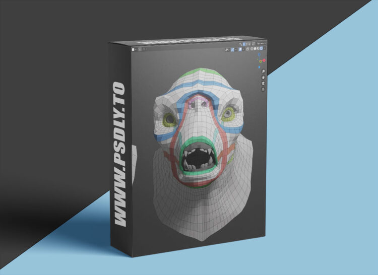 Flippednormals - Retopology in Blender