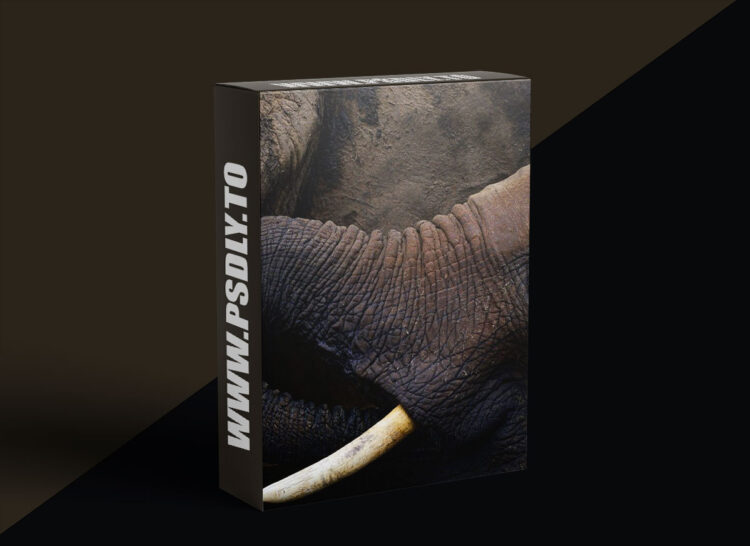KelbyOne - Putting Emotion Into Your Wildlife Photography