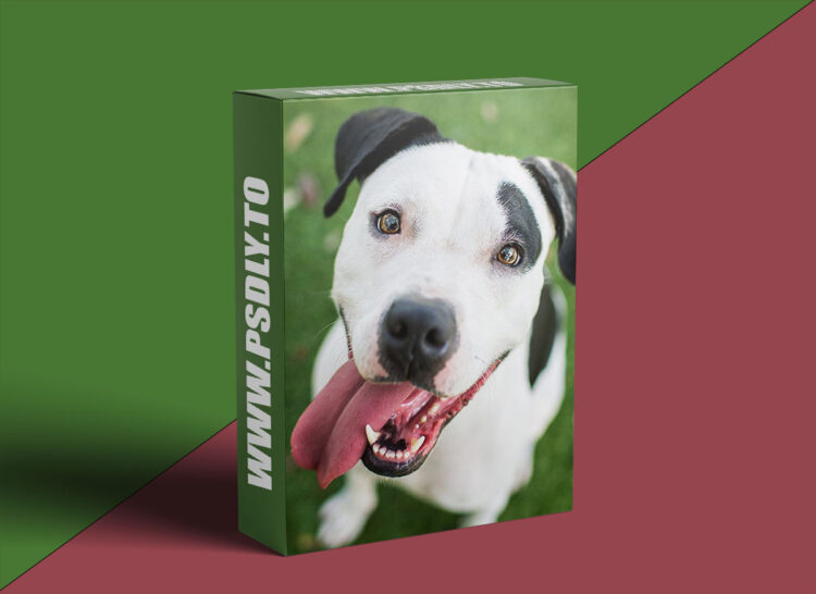 KelbyOne - The Secrets to Capturing the Best. Dog. Photos. Ever. Taken.