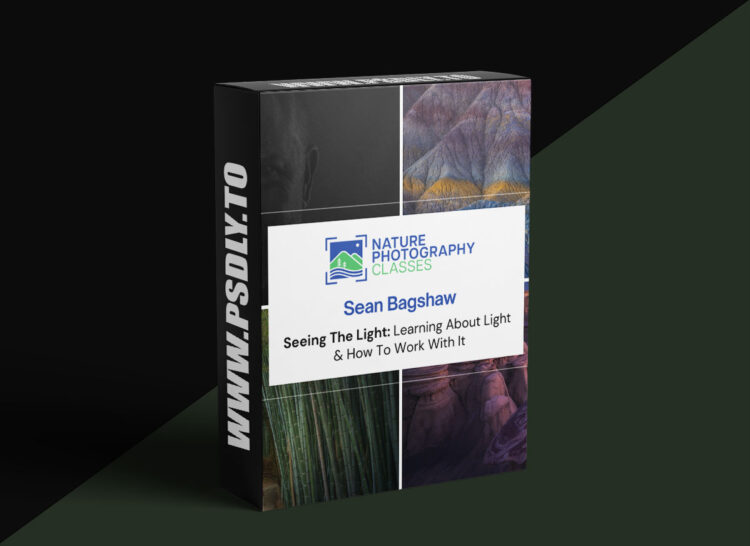 Nature Photography Classes - Sean Bagshaw - Sean Bagshaw - Seeing The Light: Learning About Light & How To Work With It