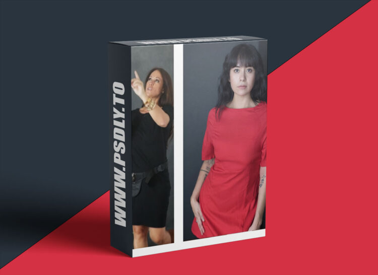 The Portrait System - Strobe with V Flat