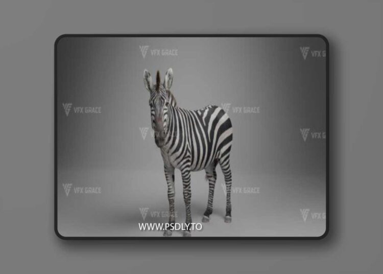 VFX Grace - Zebra Animation