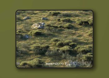 3dsky Pro - forest landscape 3D Model