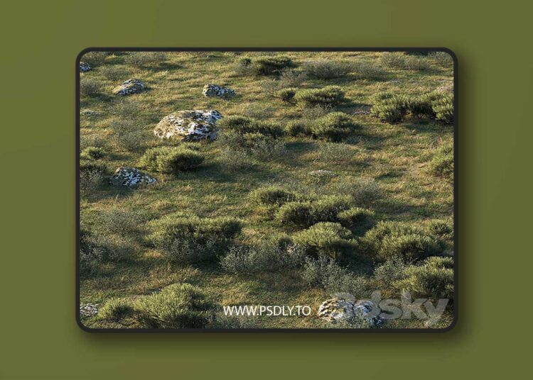 3dsky Pro - forest landscape 3D Model