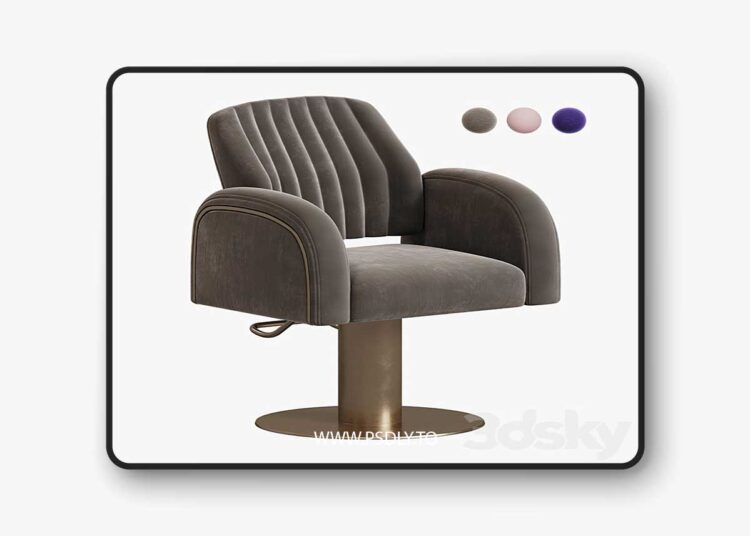3dsky Pro - salon chair 3D Model