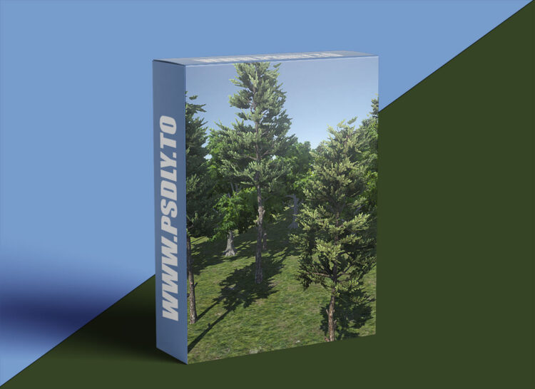 CGCookie - Fundamentals of Tree Creation