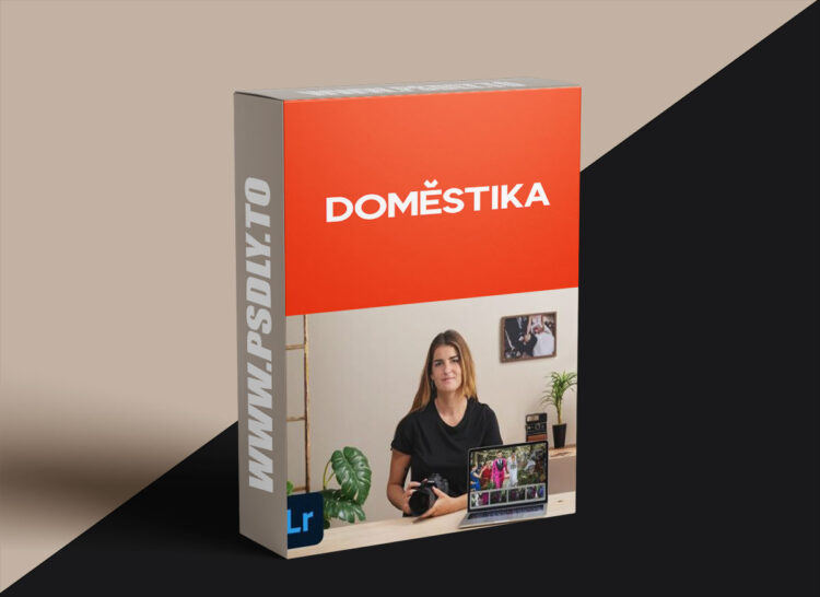 Domestika - Batch Photo Editing in Lightroom Classic