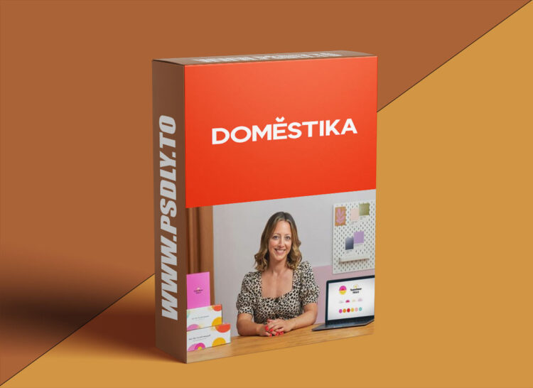 Domestika - Brand Identity Design: Expressing Visual Meaning
