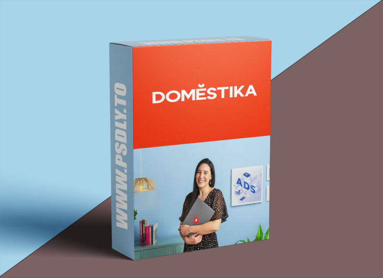 Domestika - Campaigns for E-commerce: Google Shopping and Facebook Ads