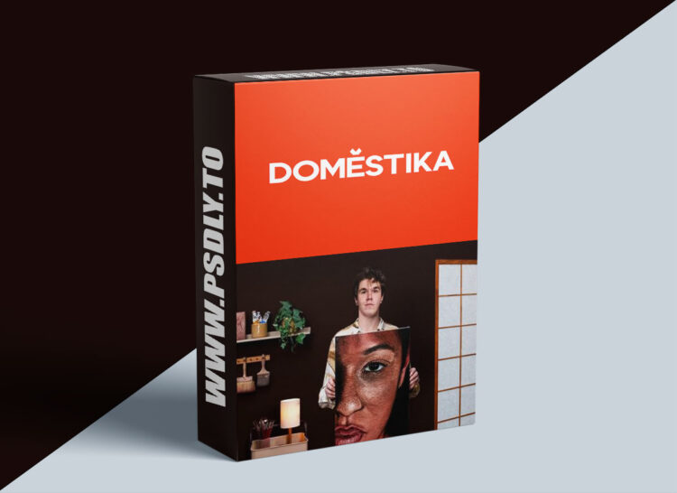 Domestika - Contemporary Hyperrealistic Portraiture